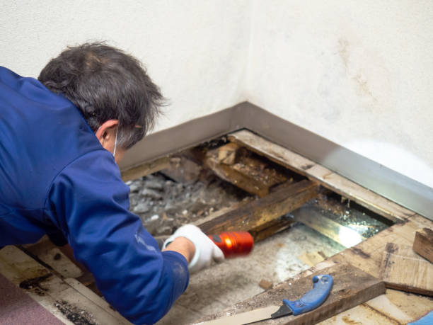 Crawl Space Mold Removal in Loudoun Valley Estates, VA