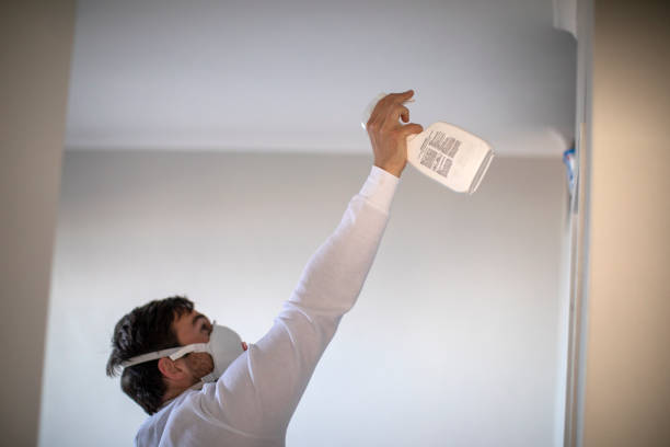 Best Emergency Mold Removal  in Loudoun Lley Estates, VA