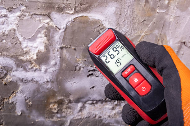 Best Mold Remediation  in Loudoun Lley Estates, VA